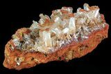 Wholesale Lot of Hemimorphite - Pieces - Chihuahua, Mexico #81080-5